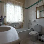 Casa Mimosa Daire Viareggio