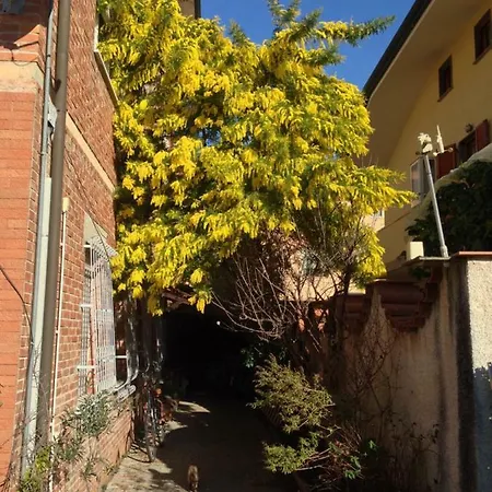 Casa Mimosa